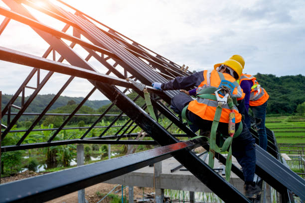Best Metal Roofing Contractor  in Murray, KY