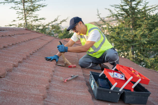 Best Storm Damage Roof Repair  in Murray, KY