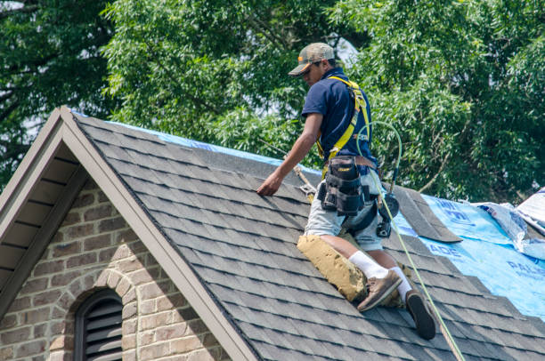 Best Emergency Roof Repair  in Murray, KY